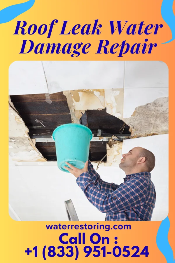 Roof Leak Water Damage Repair in Nashwauk, MN