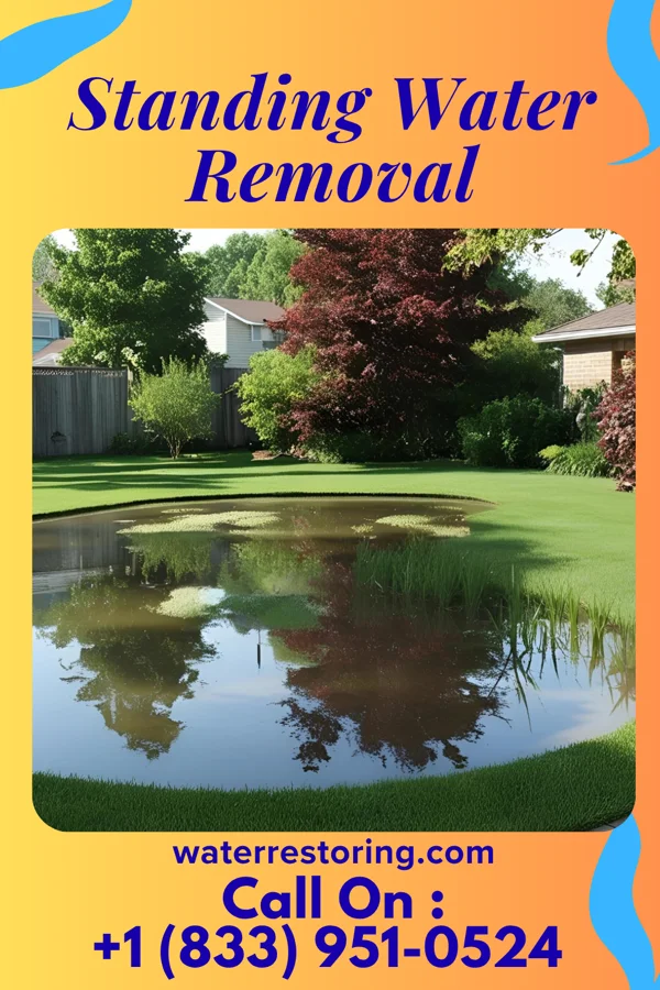 Standing Water Removal in Nashwauk, MN